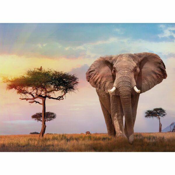 Puzle 500 Puesta de sol en Africa - Imatge 2
