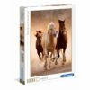 Puzle 1000 Cavalls