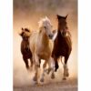 Puzle 1000 Cavalls - Imatge 2