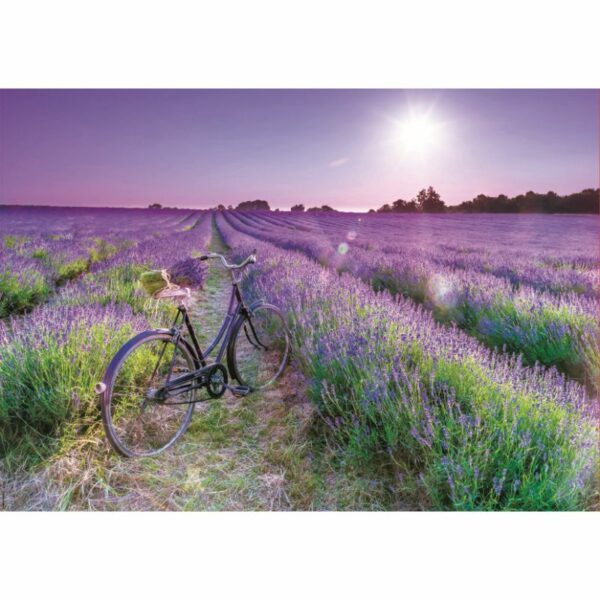 Puzle 1000 Bicicleta al camp de lavanda - Imatge 2
