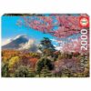 Puzle 2000 Castillo de Osaka Japón
