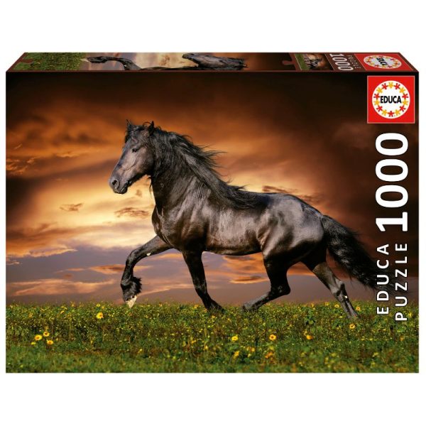 Puzle 1000 Cavall al trot