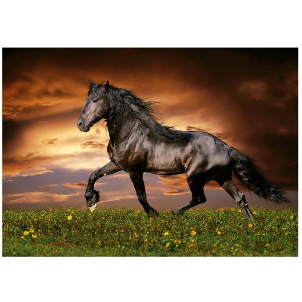Puzle 1000 Cavall al trot - Imatge 2