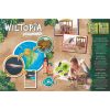 Tour de rem amb dofins 71143 - Imatge 7