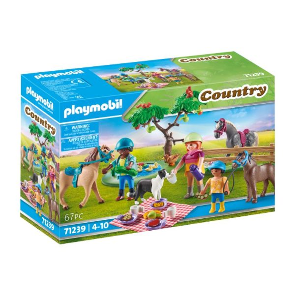 Excursión y pícnic con caballos 71239