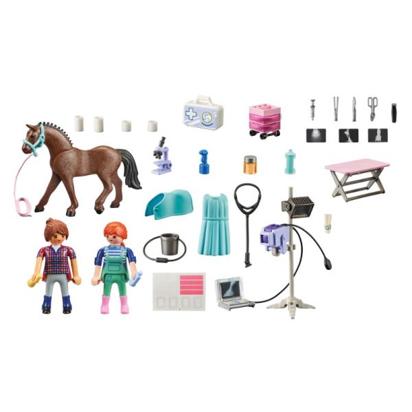 Veterinària de cavalls 71241 - Imatge 2
