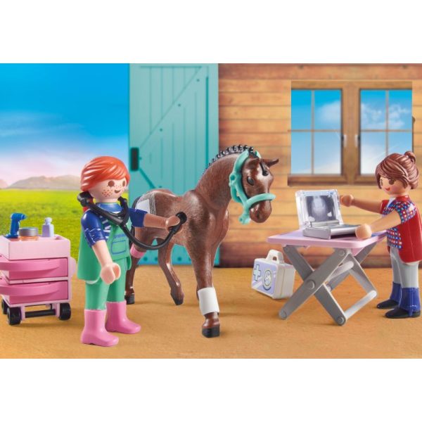 Veterinària de cavalls 71241 - Imatge 5