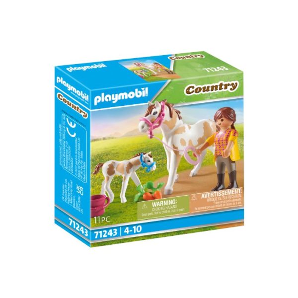 Cavall i poltre 71243