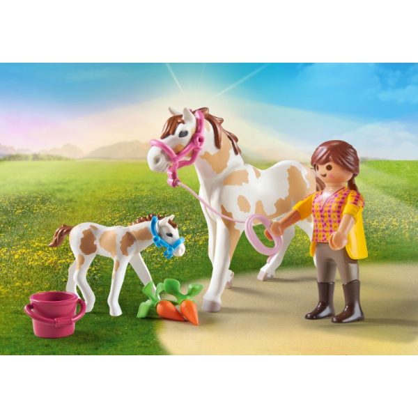 Cavall i poltre 71243 - Imatge 3