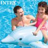 Dofí inflable - Imatge 3