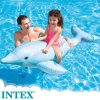 Dofí inflable
