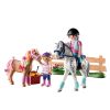 Cura de cavalls 71259 - Imatge 3