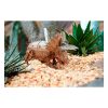 Puzzle ECO 3D Triceratops - Imagen 3