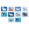 Magneti'book Animales Polares - Imagen 5