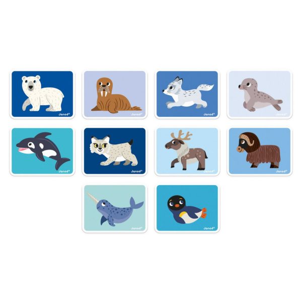 Magneti'book Animals Polars - Imatge 5