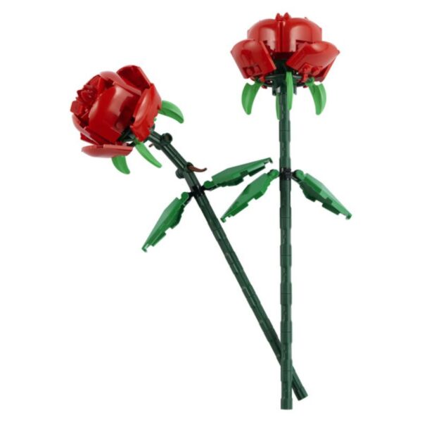 Roses 40460 - Imatge 2