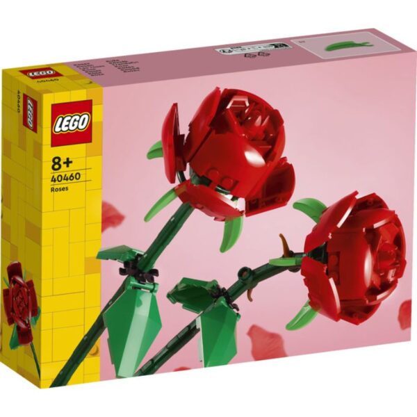 Roses 40460