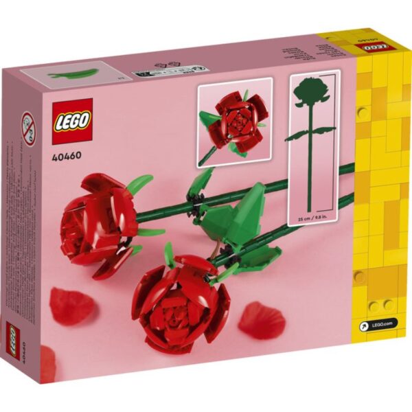 Roses 40460 - Imatge 4