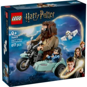 Viatge amb la moto de Hagrid 76443