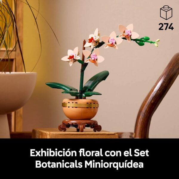 Miniorquídea 10343 - Imagen 4