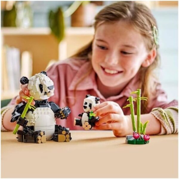 Familia de Pandas 31165 - Imagen 2