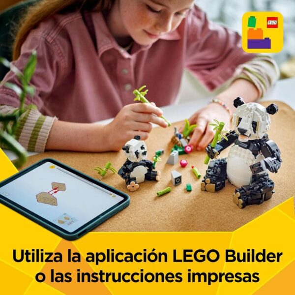 Familia de Pandas 31165 - Imagen 5
