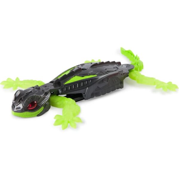 Gecko Llangardaix Puja Parets - Imatge 9