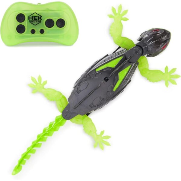 Gecko Llangardaix Puja Parets - Imatge 8