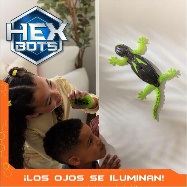 Gecko Llangardaix Puja Parets - Imatge 7