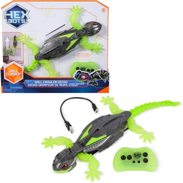 Gecko Llangardaix Puja Parets