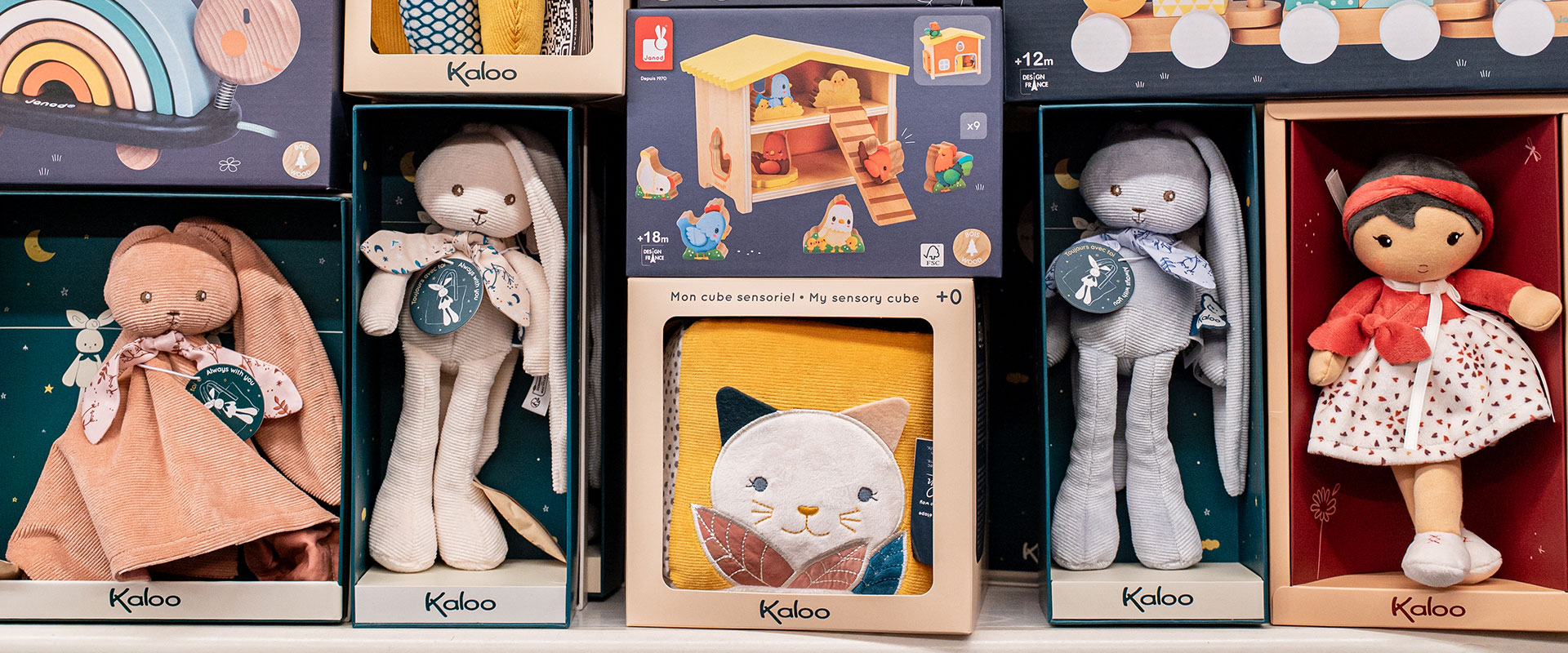Kaloo
